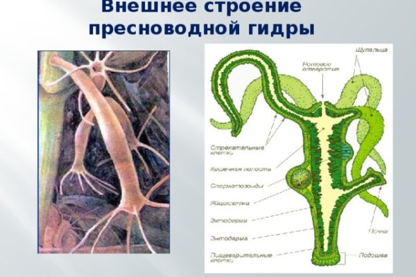 Где взять ссылку кракена