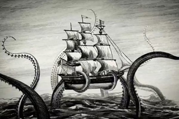 Kraken kraken link24 info