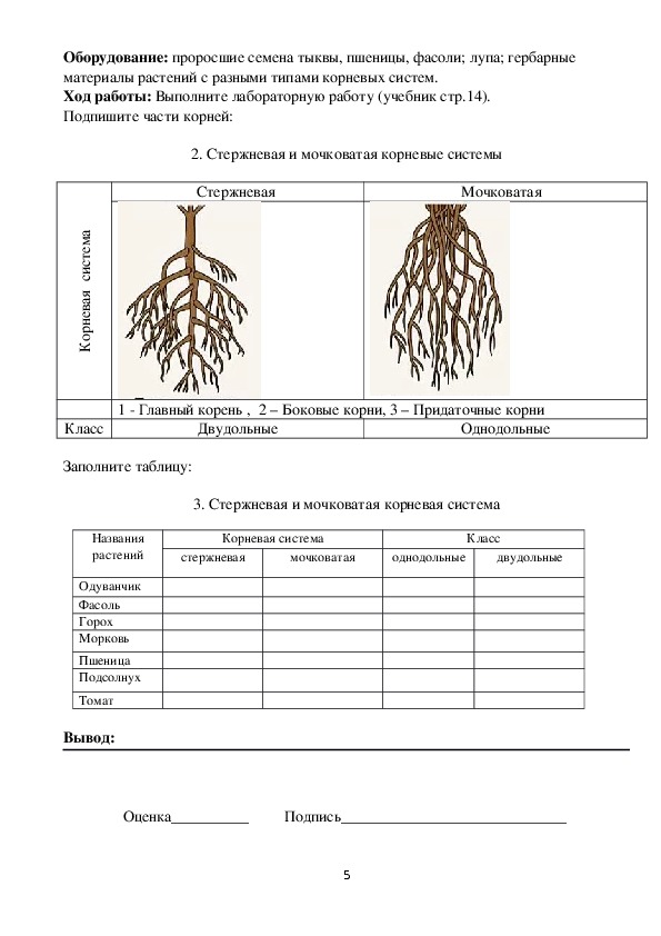 Как пополнить кошелек на кракене даркнет
